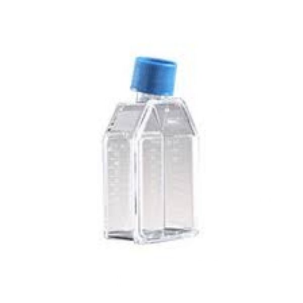 Corning® Biocoat™ Collagen I 25cm² Rectangular Canted Neck Cell Culture Flask With Vented Cap 